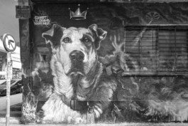 Axel Hartmann Fotografie