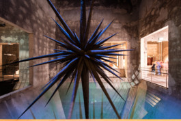 Axel Hartmann Fotografie