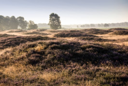 Axel Hartmann Fotografie