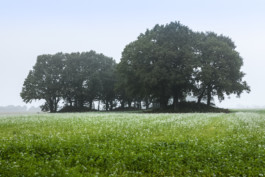 Axel Hartmann Fotografie