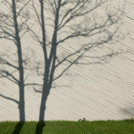 Axel Hartmann Fotografie